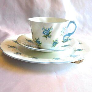 Rosina White Teacup, Saucer, and Luncheon Plate with Blue Flowers